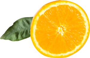 orange-feuille (1)