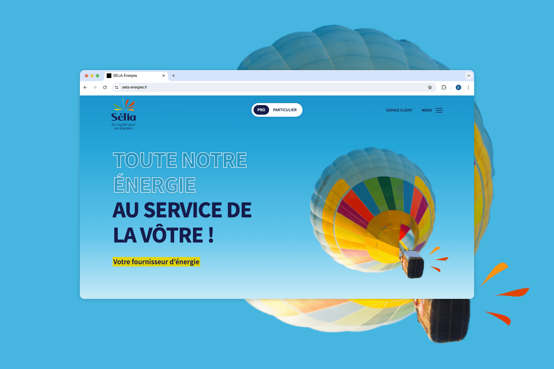 Refonte du site internet de SÉLIA par l'agence web Naskigo à Niort
