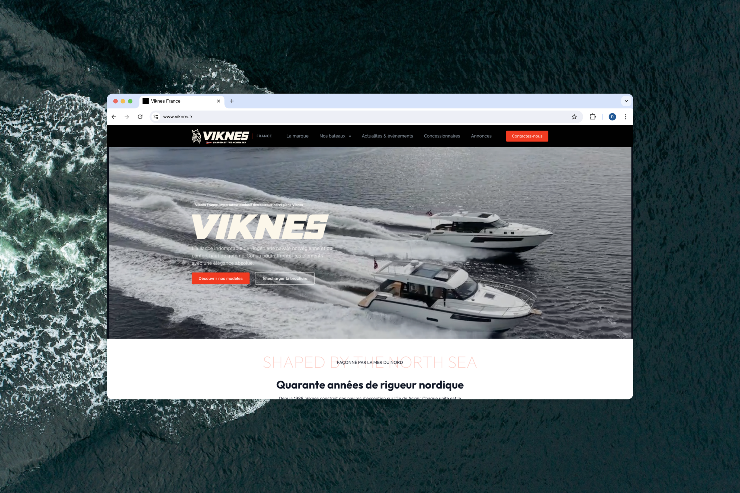 Création du site internet de Viknes France